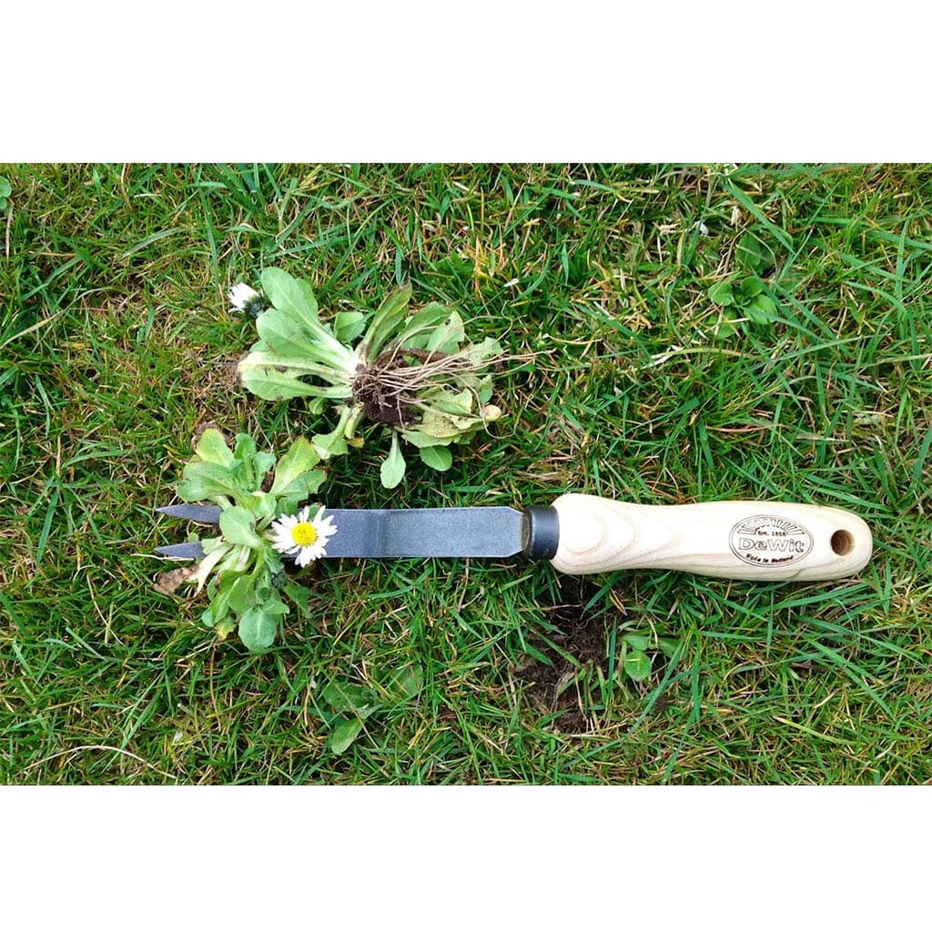 DeWit Bio Daisy Grubber Hand Weeder Boron Steel Ash Handle Hand-Forged Dutch NEW - Image 5
