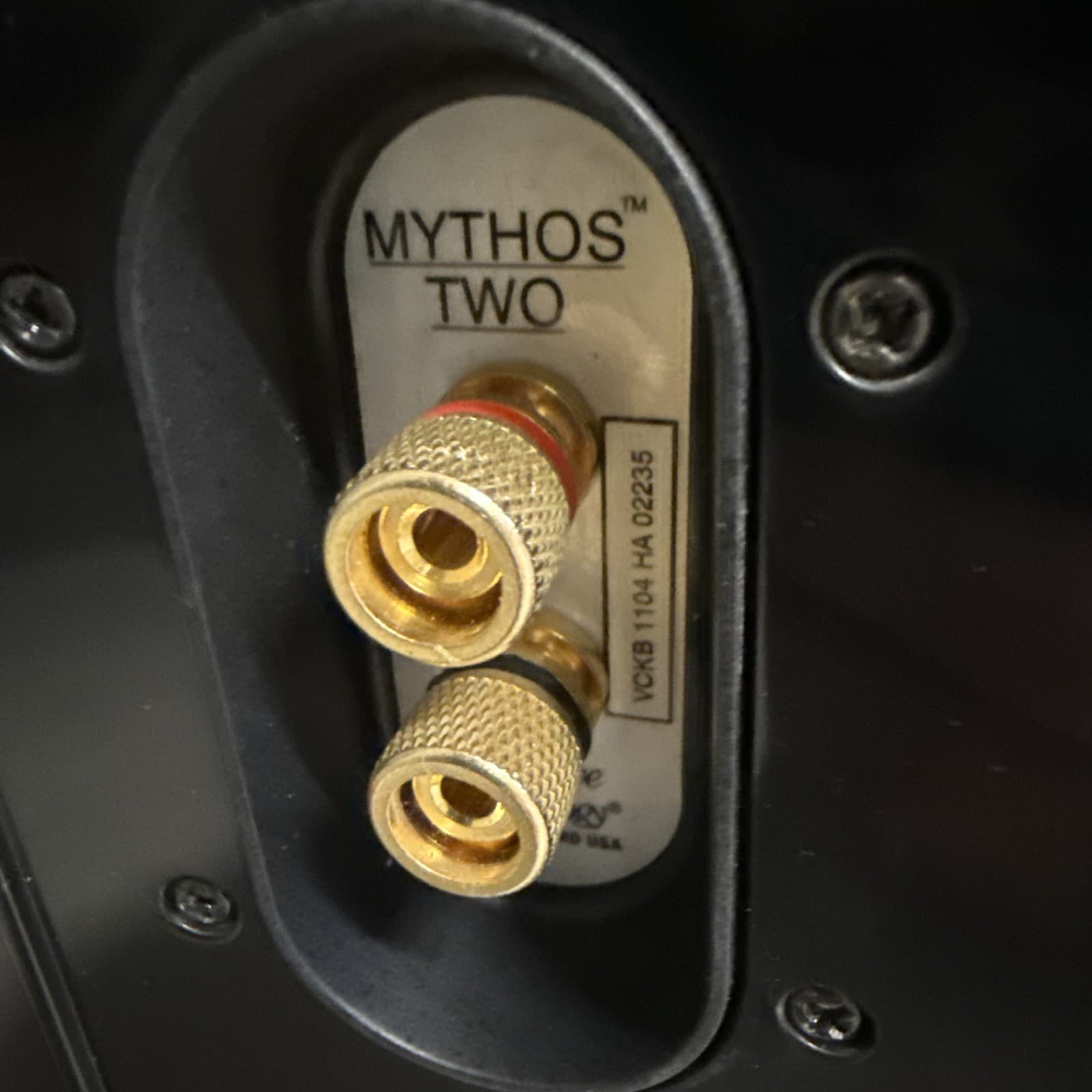 Definitive Technology Mythos Two Floor Standing Speaker - Quantity 1 - Image 9
