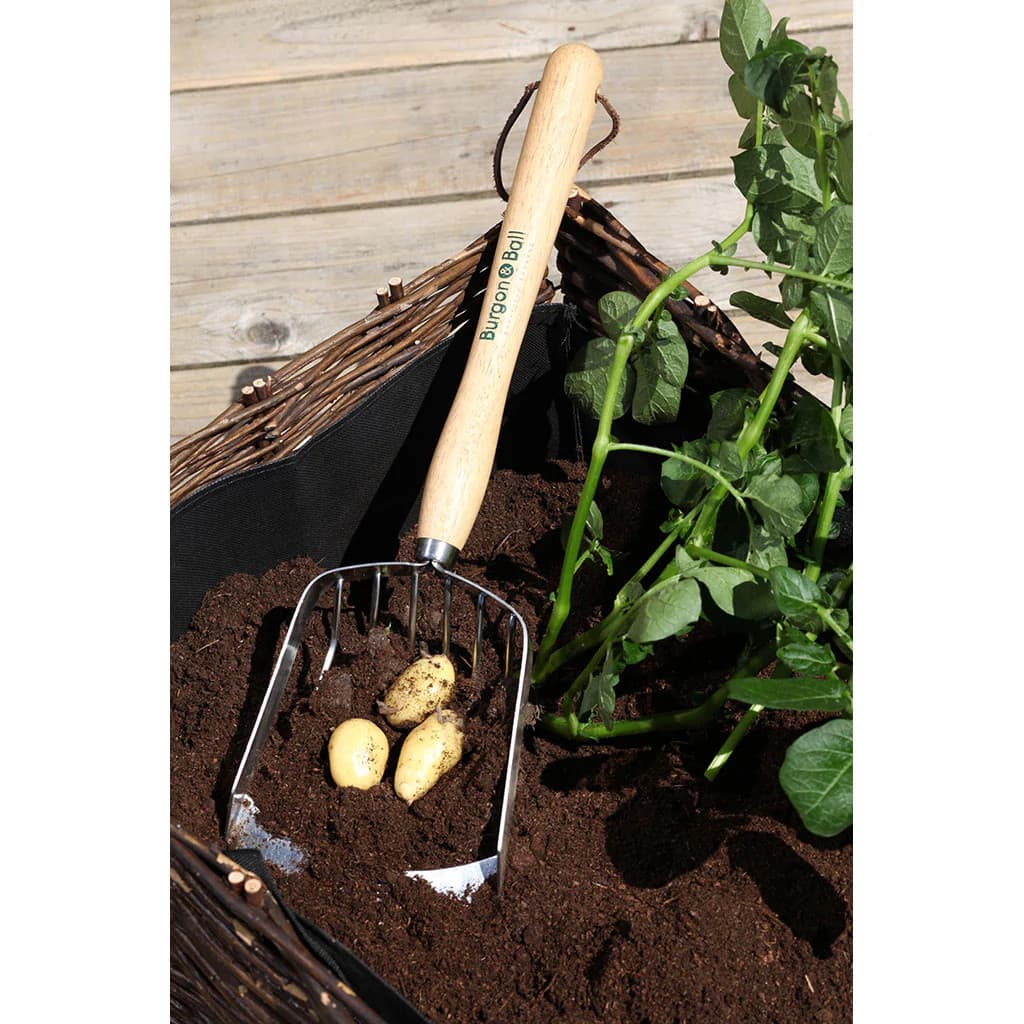 Burgon & Ball Garden Trowel & Potato Harvesting Scoop NEW - Image 2