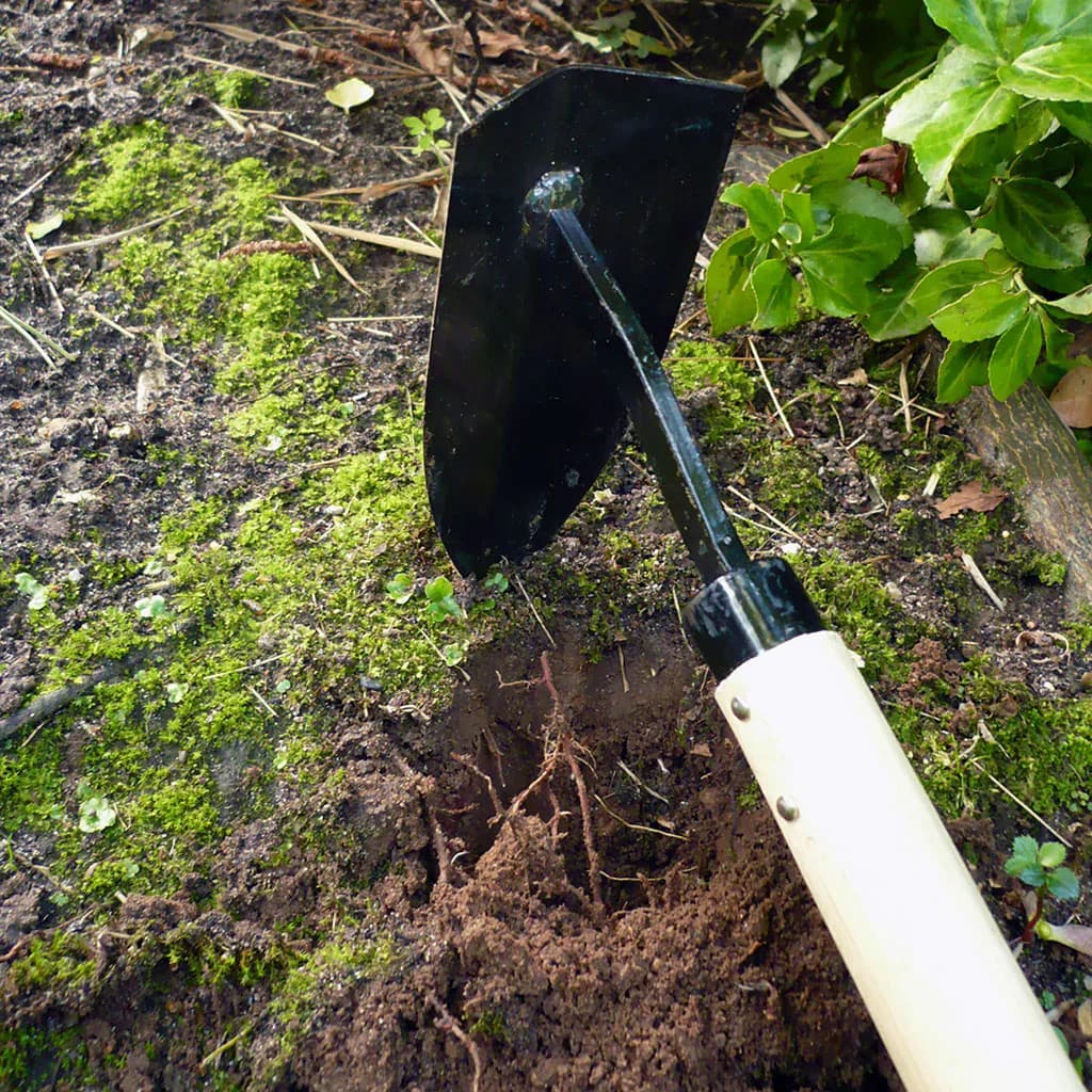 Burgon & Ball Mighty Pick Garden Hoe Stainless Steel Weeding Cultivating NEW - Image 3
