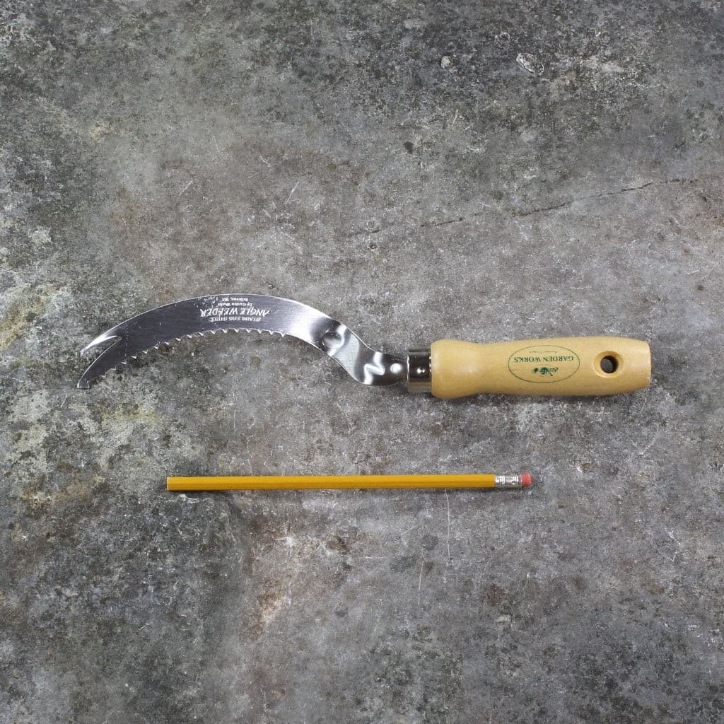 Garden Works Angle Hand Weeder Stainless Steel Wood Handle Right-Handed NEW - Image 6