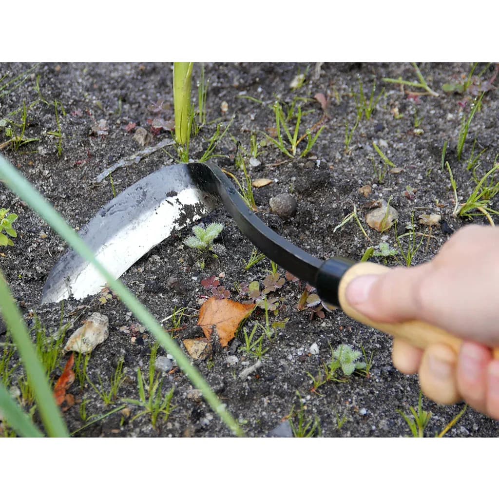 Burgon & Ball Razor Hand Hoe Stainless Steel Right Weeding Cultivating NEW - Image 3