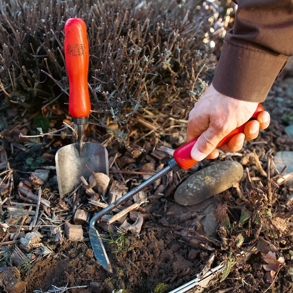 Felco Cape Cod Weeder Angled Head Ash Handle Hardened Steel Weeding Swiss NEW - Image 4