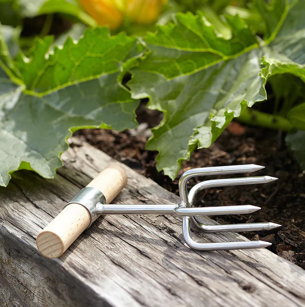 Burgon & Ball Sophie Conran Twist Cultivator Hand Weeder Stainless Steel NEW - Image 4