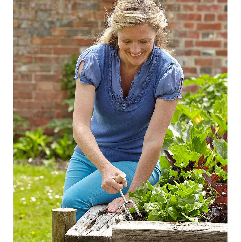 Burgon & Ball Sophie Conran Twist Cultivator Hand Weeder Stainless Steel NEW - Image 3