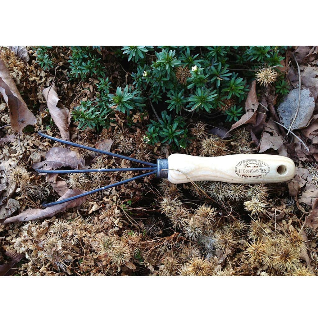 DeWit Spring Tine Cultivator Garden Rake Boron Steel Ash Handle Hand-Forged NEW - Image 5