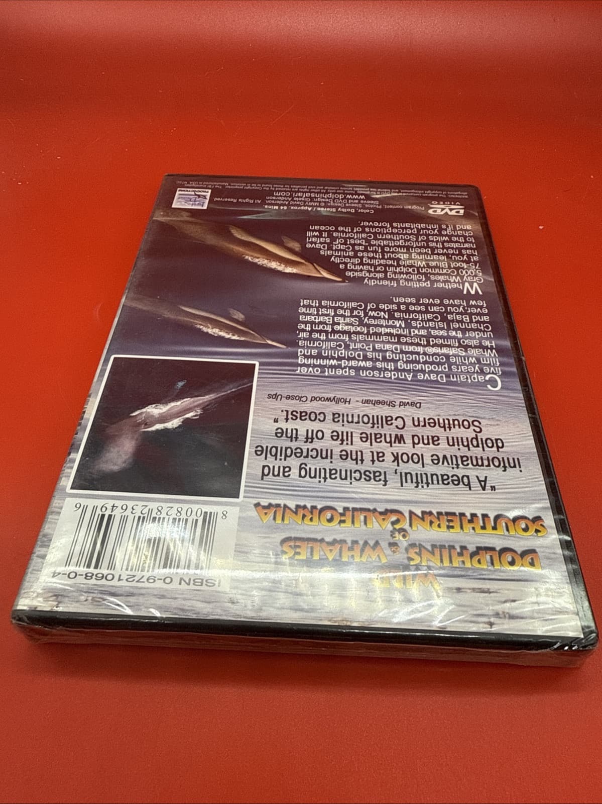 Wild Dolphins and Whales of Southern California DVD NEW Movie PHYSICAL_MOVIE NR - Image 4