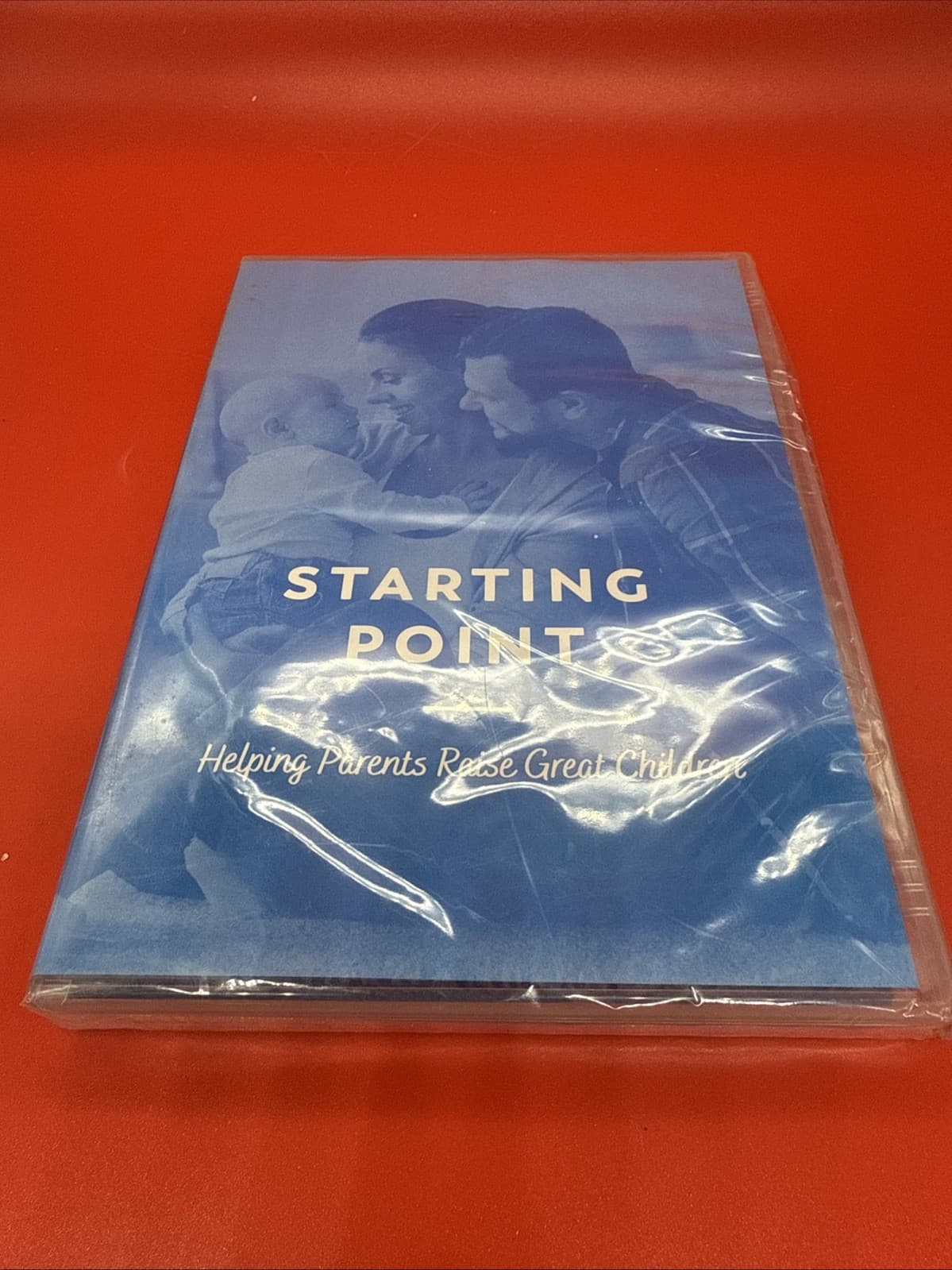 STARTING POINT DYNAMIC CATHOLIC HELPING PARENTS RAISE GREAT CHILDREN  [NEW DVD] - Image 2