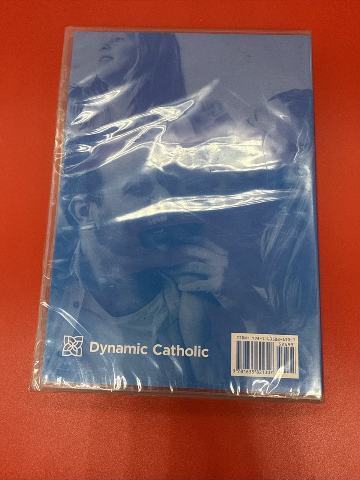 STARTING POINT DYNAMIC CATHOLIC HELPING PARENTS RAISE GREAT CHILDREN  [NEW DVD] - Image 6