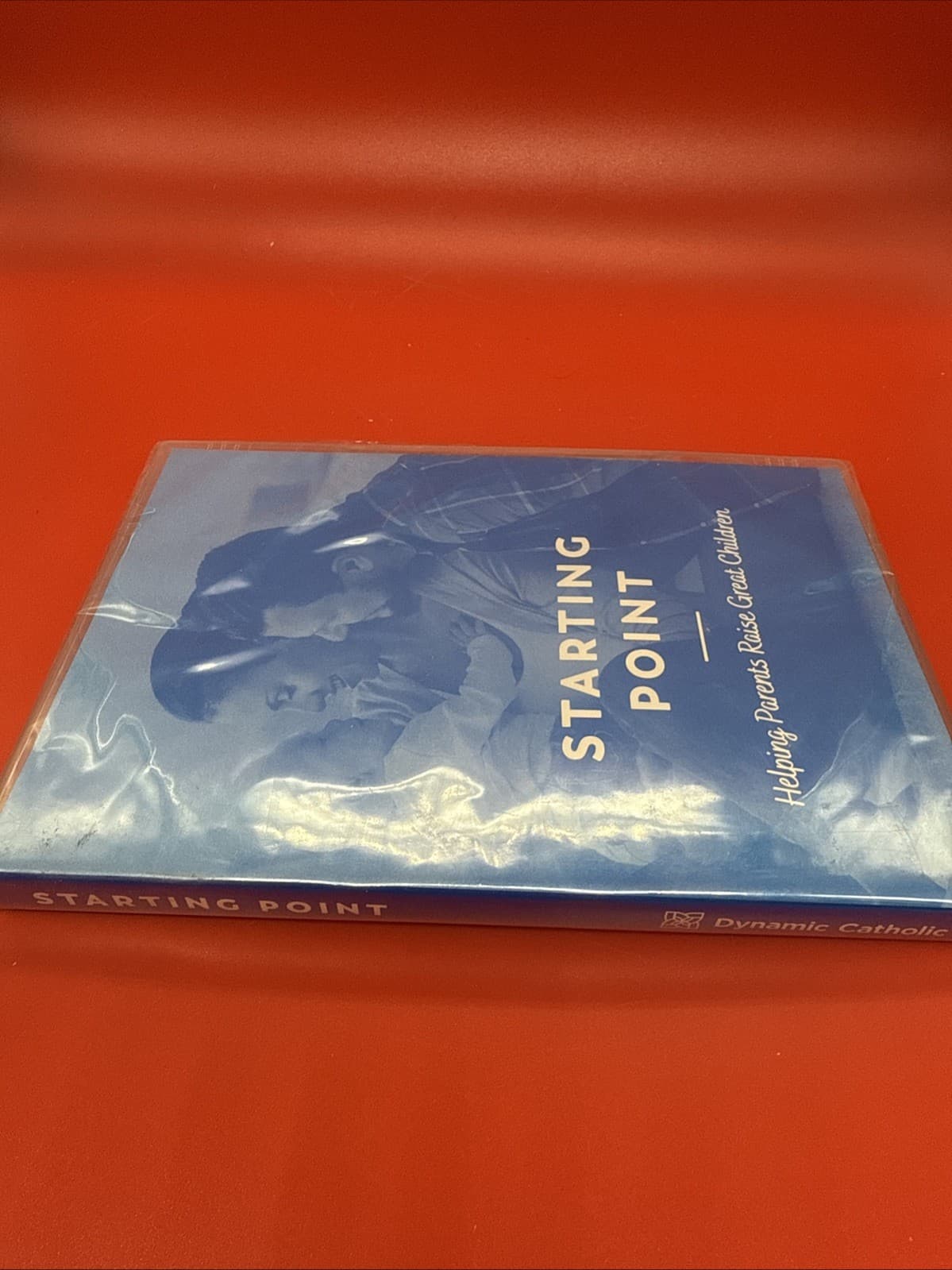 STARTING POINT DYNAMIC CATHOLIC HELPING PARENTS RAISE GREAT CHILDREN  [NEW DVD] - Image 5