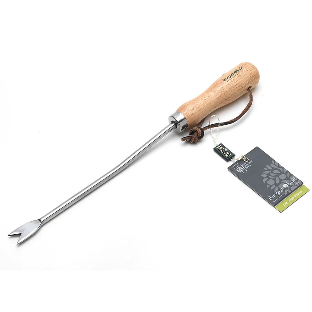 Burgon & Ball Dandelion Weeder Stainless Steel Weeding British NEW