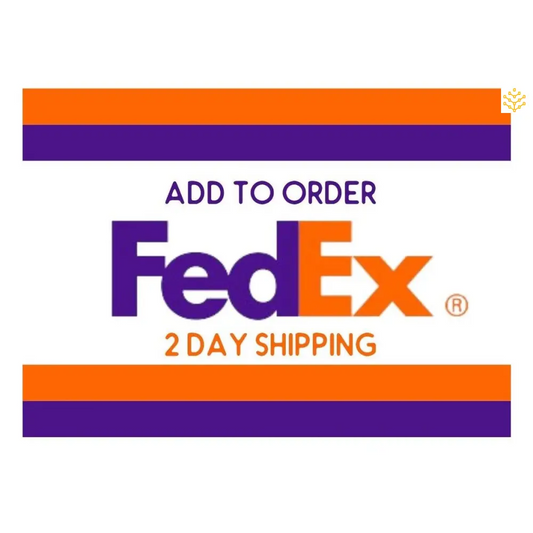 Shipping Upgrade FEDEX 2 Day - GIGDATA